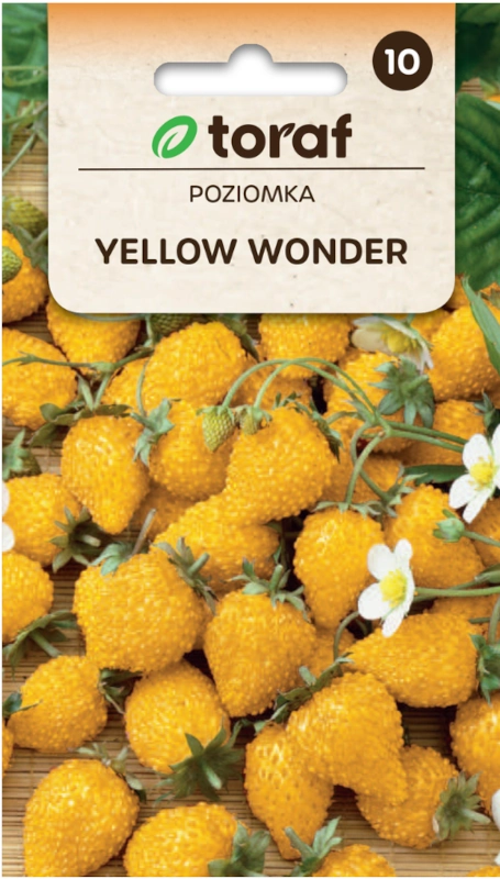 TORAF Poziomka Yellow Wonder nasiona sklep rajogrodnika